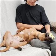 Profesor de clases particulares de química con un muy buen nivel y listo para dar clase a gente de ESO y Bachillerato